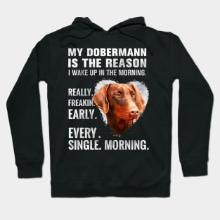 Doberman Pinscher - Dobermann Hoodie